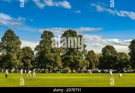 Image result for Buxted Park Cricket Club