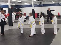 Image result for INTERNATIONAL HAPKIDO TAMWORTH