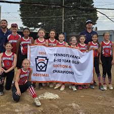 Image result for Elmbridge Girls` Little League
