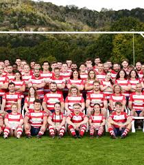 Image result for Dorking Football Club Limited