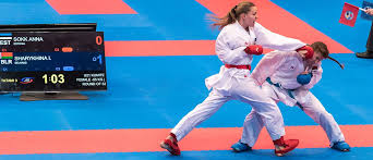 Image result for South Bank Taekwondo