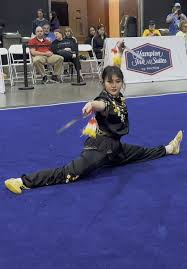 Image result for William Lai - Wing Chun Kung Fu