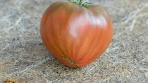 Afbeeldingsresultaat voor black oxheart tomato