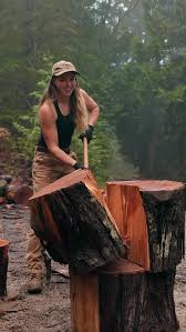 Attēlu rezultāti vaicājumam “Postia sericeomollis”