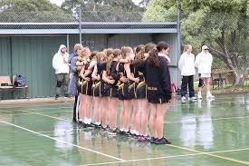 Image result for Belton Ladies Netball Club