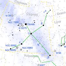 Attēlu rezultāti vaicājumam “Cygnus”