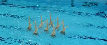 Image result for LEICESTER SYNCHRONIZED SWIMMING CLUB