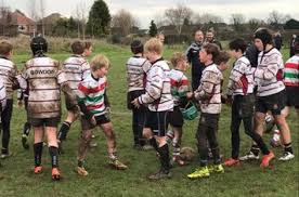 Image result for Bowdon Rugby Union Football Club