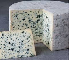 Image result for bleu d'auvergne
