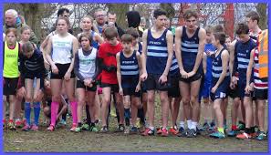 Image result for Ipswich Harriers