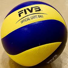 Image result for Newbury Volleyball Club