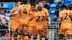 Image result for Ashford Tanners Handball Club