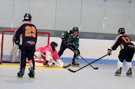 Image result for Urban Knights Inline Roller Hockey