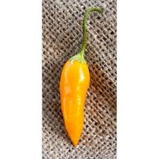 Afbeeldingsresultaat voor aji habanero hot pepper