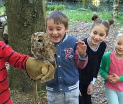 Image result for Braishfield Ultimate