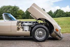 Image result for Ascot Fawn 1968 Jaguar