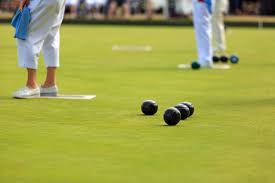 Image result for Donyatt Bowling Club