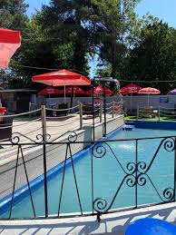 Image result for Lowestoft & Oulton Broad Swimming Club