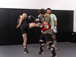 Image result for Vipers Thai/Kickboxing School