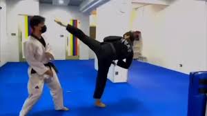 Image result for Tkd Self Defense