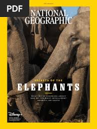 Attēlu rezultāti vaicājumam “Enerthenema papillatum young”