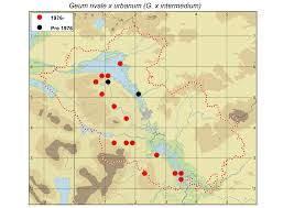 Attēlu rezultāti vaicājumam “Geum x intermedium”