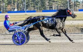 Image result for brutalizer