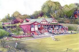 Image result for Salfords Cricket Club