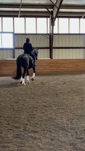 Image result for Interfreestyle Sport Karate