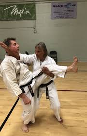 Image result for Jutsu Karate Association, Cobham, Surrey