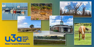 Image result for U3A Petersfield Scrabble Club