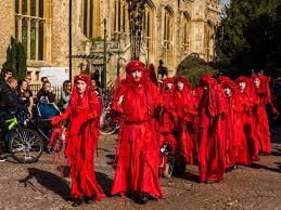 Image result for Reddish Rebels