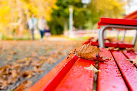 Image result for "Parco Ciani"