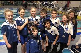 Image result for Aylesbury and District Sc