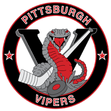 Image result for Vipers Roller Hockey Team