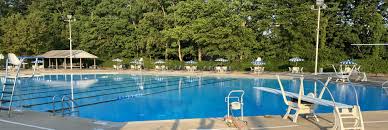 Image result for Fleetwood and District Swimming Club