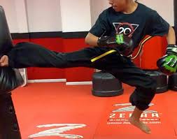 Image result for School of Hope and Glory Kickboxing and Martial Arts