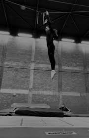 Image result for West Wight Trampoline Club