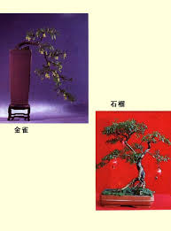 Image result for 艰苦阅历 孔泰初