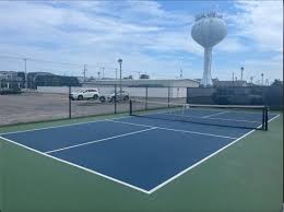 Image result for Cedars Badminton Club