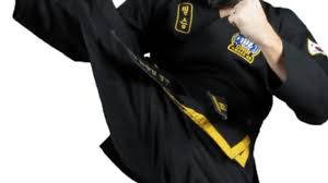 Image result for southern academy choi kwang do