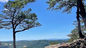 Image result for Carman Stables Archery