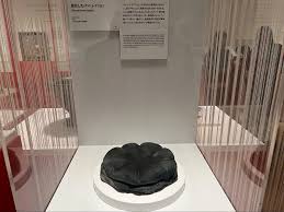 「ハナコ テルマエ・ロマエ」の画像検索結果