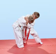 Image result for America's Best Karate