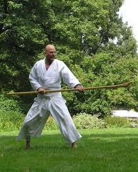 Image result for Ellis Schools of Traditional Aikido