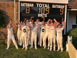 Image result for Henfield Cricket Club