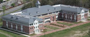 Image result for Nelson Cc