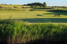 Image result for Cooden Beach Sports & Social Club