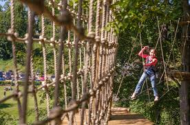 Image result for Dalkeith Park Equestrian Club