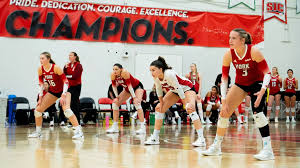 Image result for York University Gymnastics Club